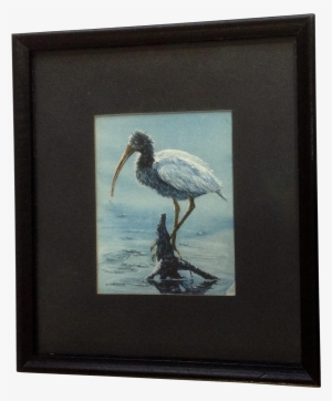 Donna Greenough, Baby American Ibis Water Bird Fishing - Watercolor Painting #1282582