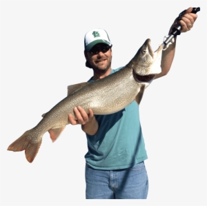 Catch Lake Trout - Fishing Png #1282609
