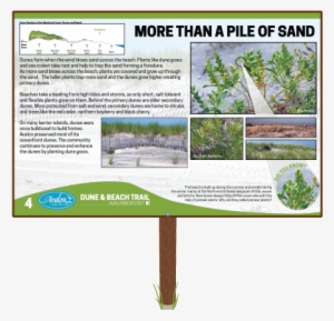 More Than A Pile Of Sand Sign - Big Money Rustlas (2010) #1284076
