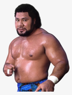 Latest Cb Hulk Hogan Andre The Giant - Haku Wwf #1284270