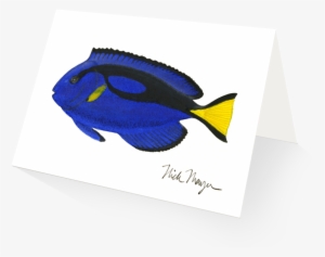 Blue Tang - Illustration #1284867