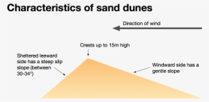 The Characteristics Of Sand Dunes - Diagram #1284892