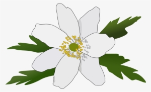 Free Clipart - Anemoner Clipart #1284932