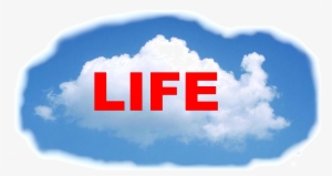 Nube Life - Abstract - All Eyes On You Earring Stud #1287252