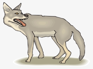 Coyote Clipart Png #1288053