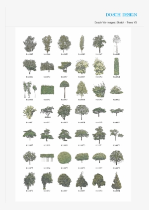 Attractive Quantity Discounts Up To 20% Are Displayed - Larch #1288055