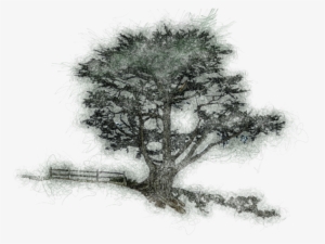 Click And Drag To Re-position The Image, If Desired - Sketch #1288194