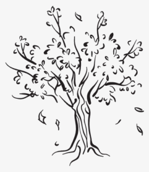 Willow Drawing Whimsical Tree - Tree Leaves Falling Drawing #1288314
