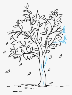 How To Draw Cartoon Tree - Draw A Cartoon Tree - Free Transparent PNG
