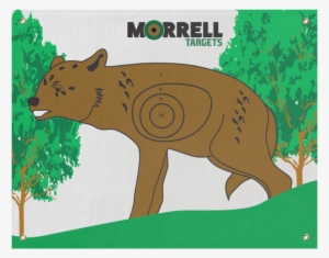 Morrell's Coyote I - Morrell Paper Archery Target 3 Spot Pack #1289153