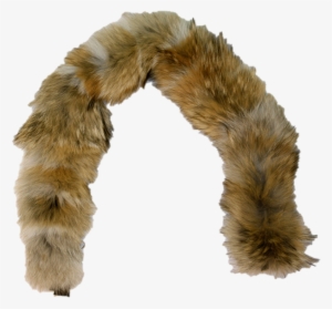 Coyote Fur Plate Ruff - Coyote Fur Png #1289318