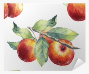 A Seamless Apple Branch Pattern On White Background - Mcintosh #1290156