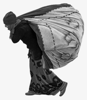 The New Arrivals A Long Term Project Following The - Bust #1290319