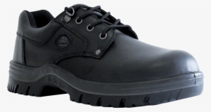 Neptune - Basket Alpinestar Faster 2 #1290840