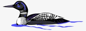 North America Bird Image Illustration Of American - Loon Clip Art #1291239