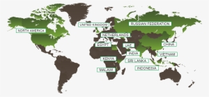 Van Rees Inc - Mercuri International #1291488