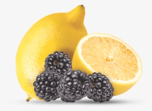 Blackberry Lemonade - Lemonade #1292527