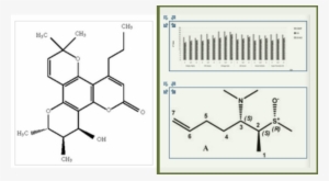 -two Subfigures Shown In The Result List - Blue #1293106