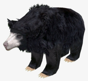 Sloth Bear - Car #1293179
