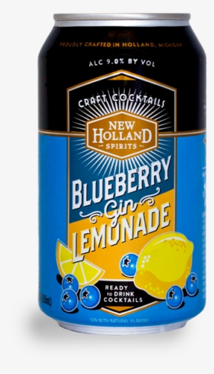New Holland Blueberry Gin #1293587