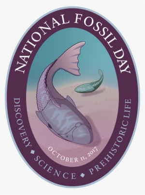 File - National Fossil Day 2017 #1293945