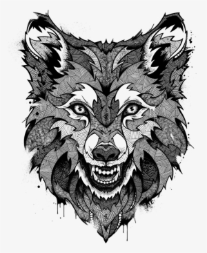 Andreas Preis Drawing Fox #1294474