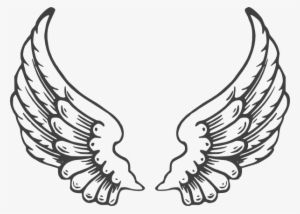 How To Set Use Grey Eagle Wings Clipart #1294585