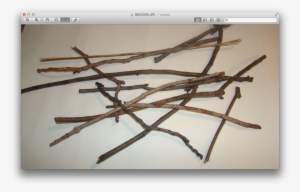This Is My Drawing Of My Twigs - Twig #1294586