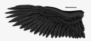 Eagle Wings Transparent Image - Eagle Wing Transparent Background #1294620