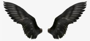 Wings Png - Alas Negras De Angel #1294650