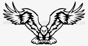 Eagle With Open Wings #1294654