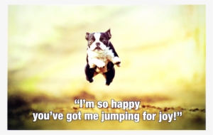 Jumping For Joy #1295484