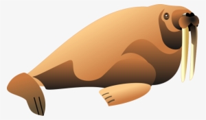 Free Png Walrus Png Images Transparent - Clipart Walrus #1296365