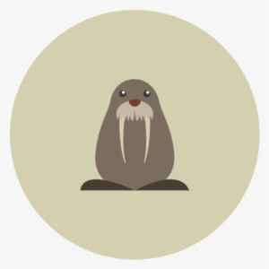 Vector Graphics #1296451