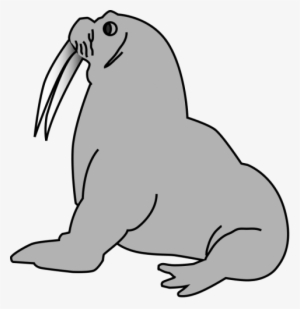 Free Png Walrus Png Images Transparent - Seal Clip Art #1296480