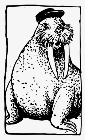 Big Image - Walrus #1296558