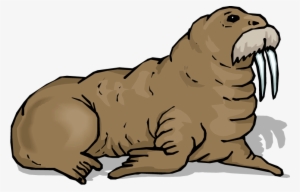 Walrus Download Png Image - Clipart Images Of Walrus #1296690
