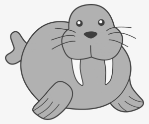 Walrus Clipart - Coloring Book #1296955