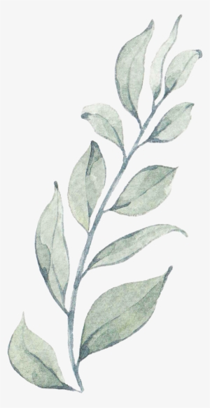 Euclidean Vector #1298285