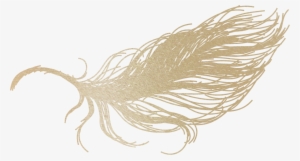 Home - Giant Pacific Octopus #1298849