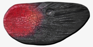 By Using The Fire As A Brush, Invisible Traces Emerge - Insect #1299189