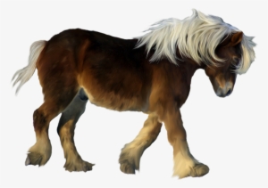 Pony Png #1299584