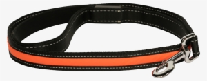 Light Up Led Leash-littlelightlab #1299694