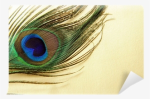 Feather Of A Peacock On A Gold Background Wall Mural - Feather #1299741