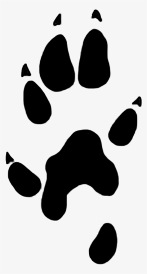 Stoat Paw Prints Clipart 22 Mm #130030