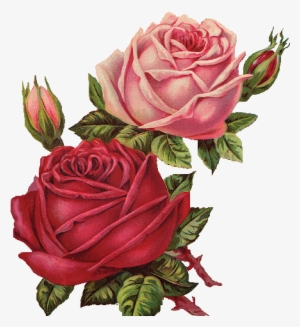 Red Rose Clipart Vintage Red - Flower #130327 Red Rose Clipart Vintage Red - Flower #130327