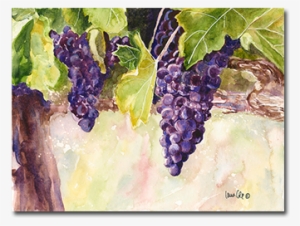 "grapes On The Vine" Watercolor Private Collection - Paint #130758