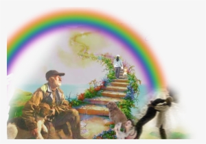 Rainbow - Basset Hound Rainbow Bridge #130906