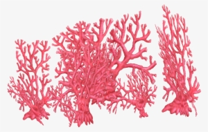 Fire Coral - Tree #131027