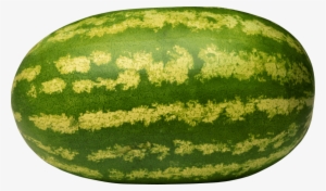 Free Png Watermelon Png Images Transparent - Giant Watermelon Fruit Seeds #131184